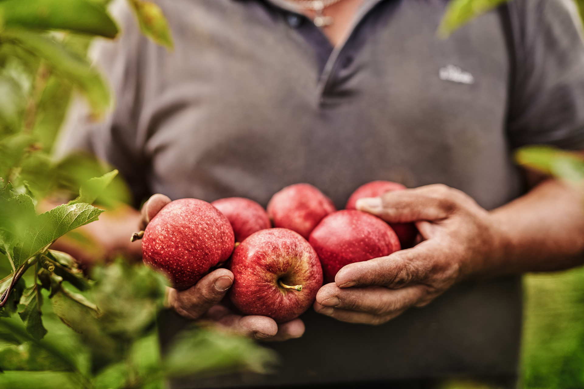 a068-Architektur-Fotograf-Fotostudio-PG_Studios_13_reisetbauer8316_reisetbauer