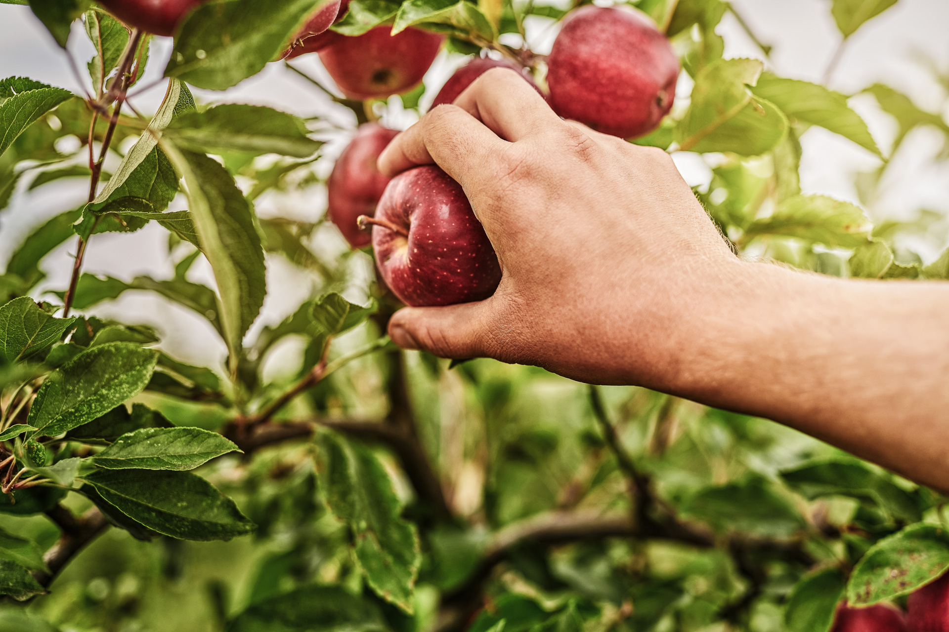 a068-Architektur-Fotograf-Fotostudio-PG_Studios_13_reisetbauer8396_reisetbauer