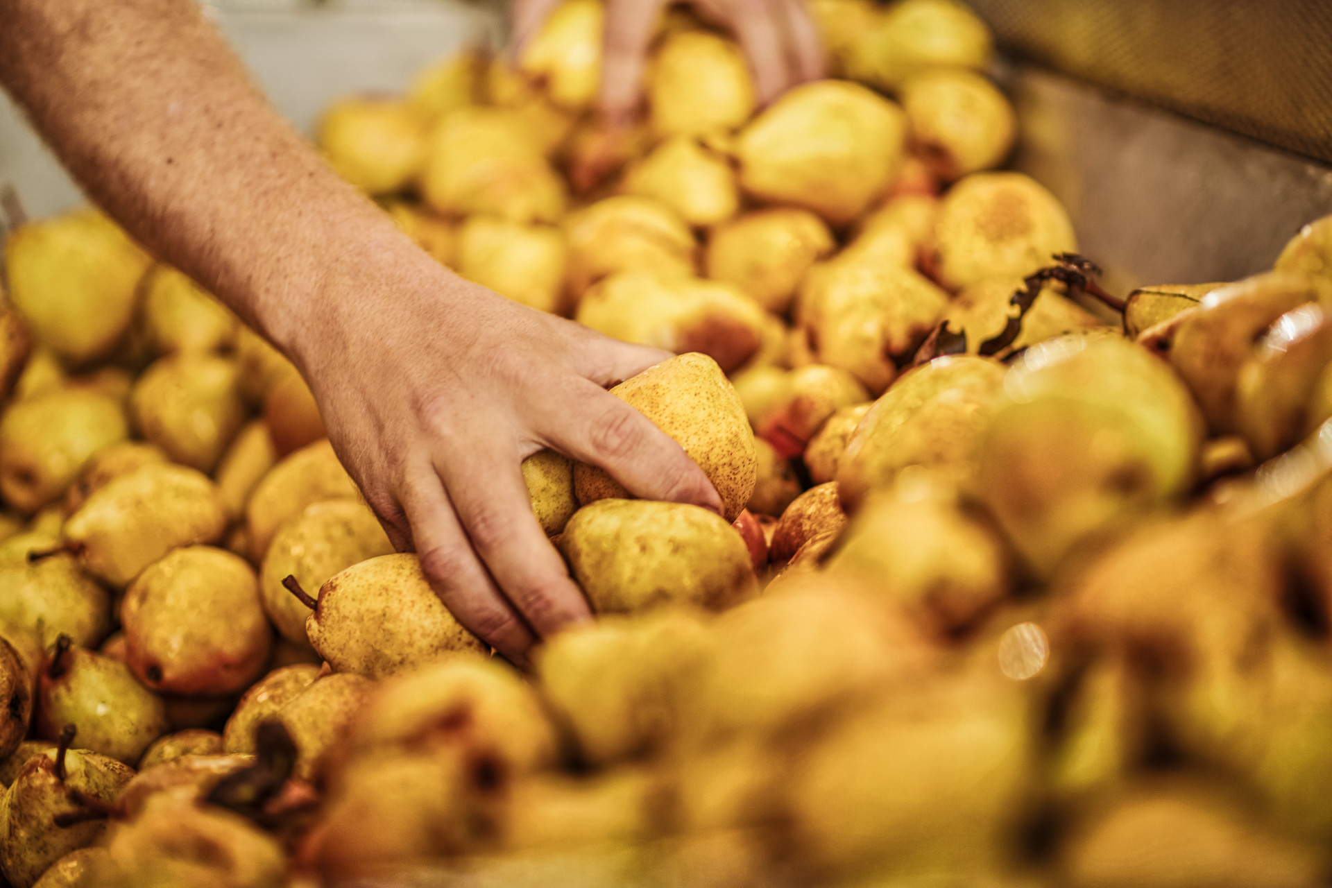 a068-Architektur-Fotograf-Fotostudio-PG_Studios_13_reisetbauer8717_reisetbauer