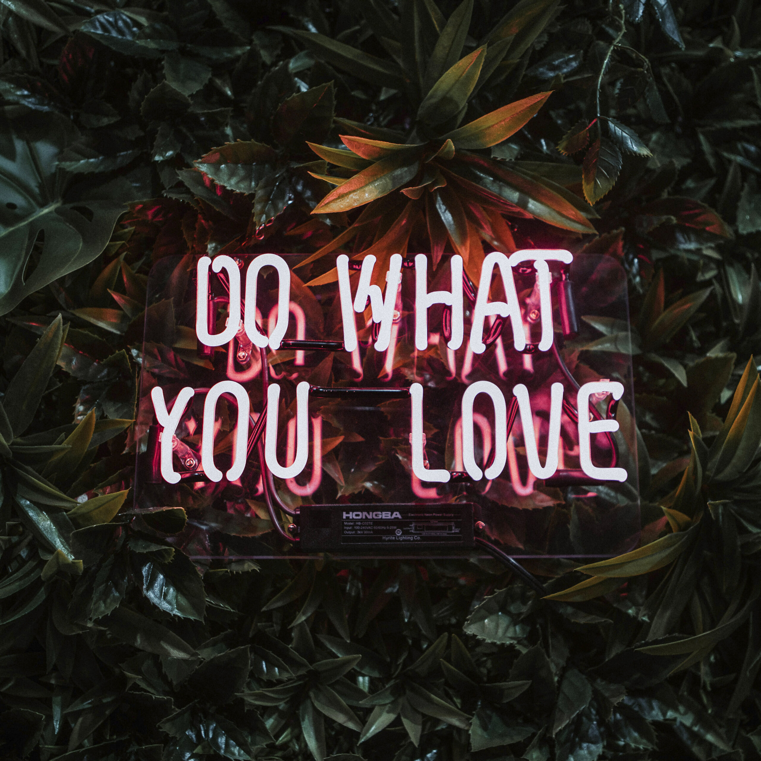 audrey-shattuck-N56xTRzHYhQ-unsplash