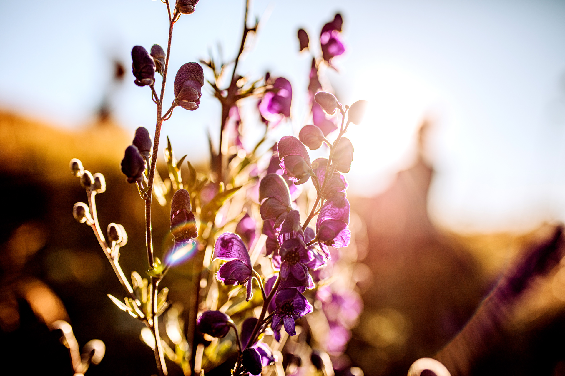 h105-People-Fashion-Fotograf-Fotostudio-PG_Studios_connectiv_MG_8084