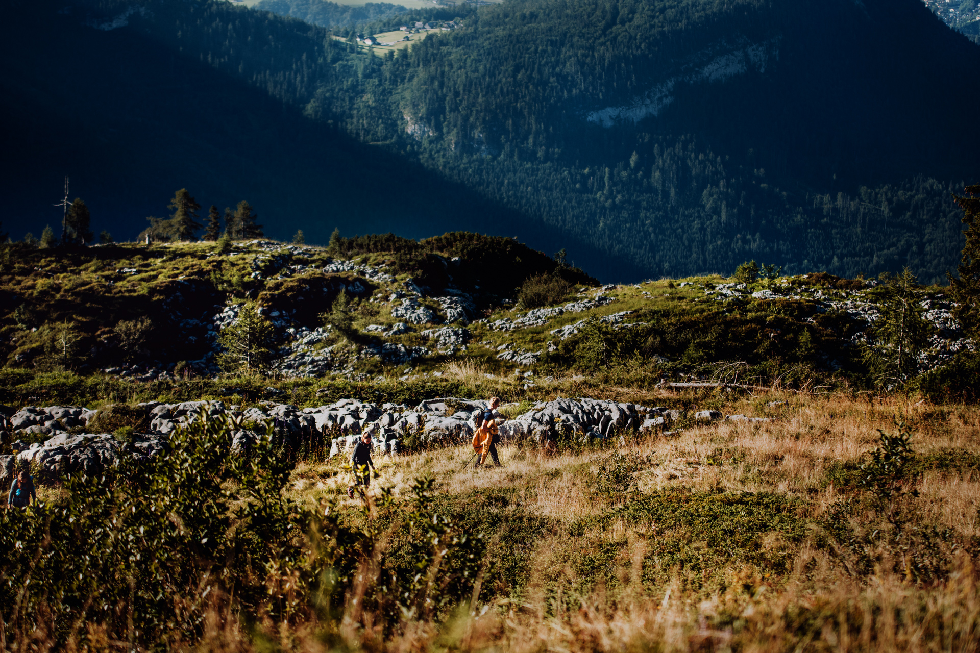 h105-People-Fashion-Fotograf-Fotostudio-PG_Studios_connectiv_MG_8315