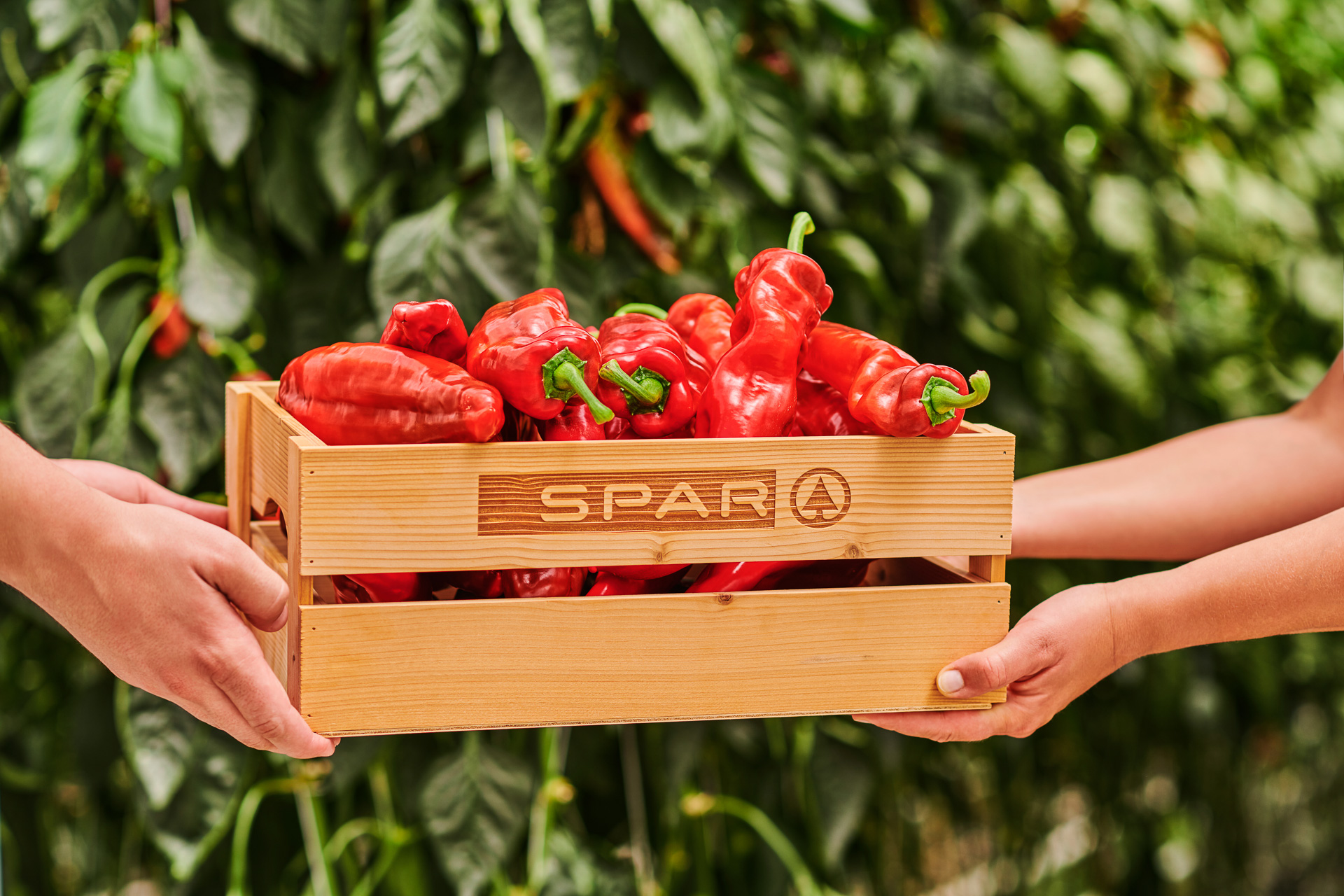 h114-People-Fashion-Fotograf-Fotostudio-PG_Studios_13_Spar_Geinberg26893a_spar_geinberg