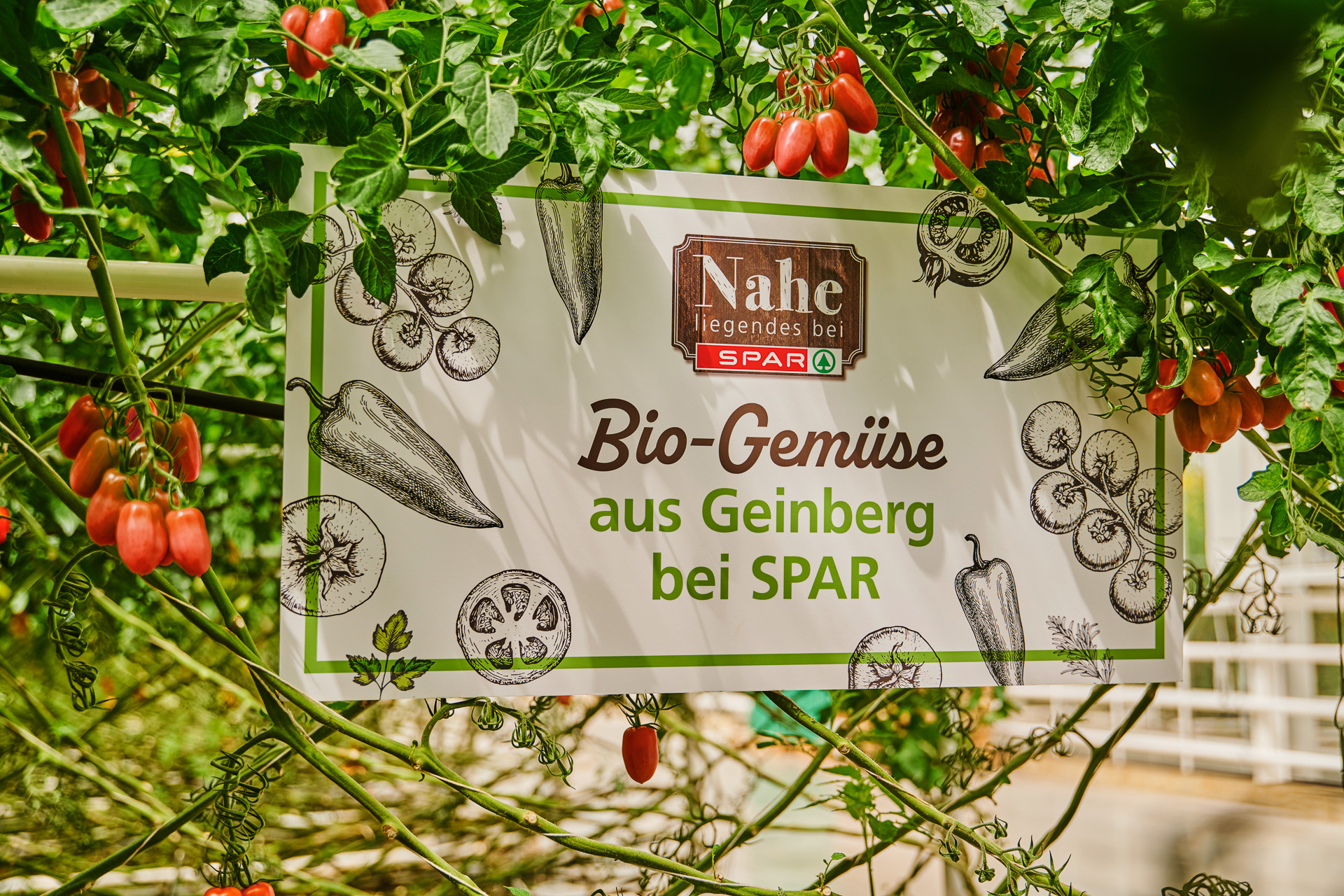 h114-People-Fashion-Fotograf-Fotostudio-PG_Studios_13_Spar_Geinberg27210a_spar_geinberg