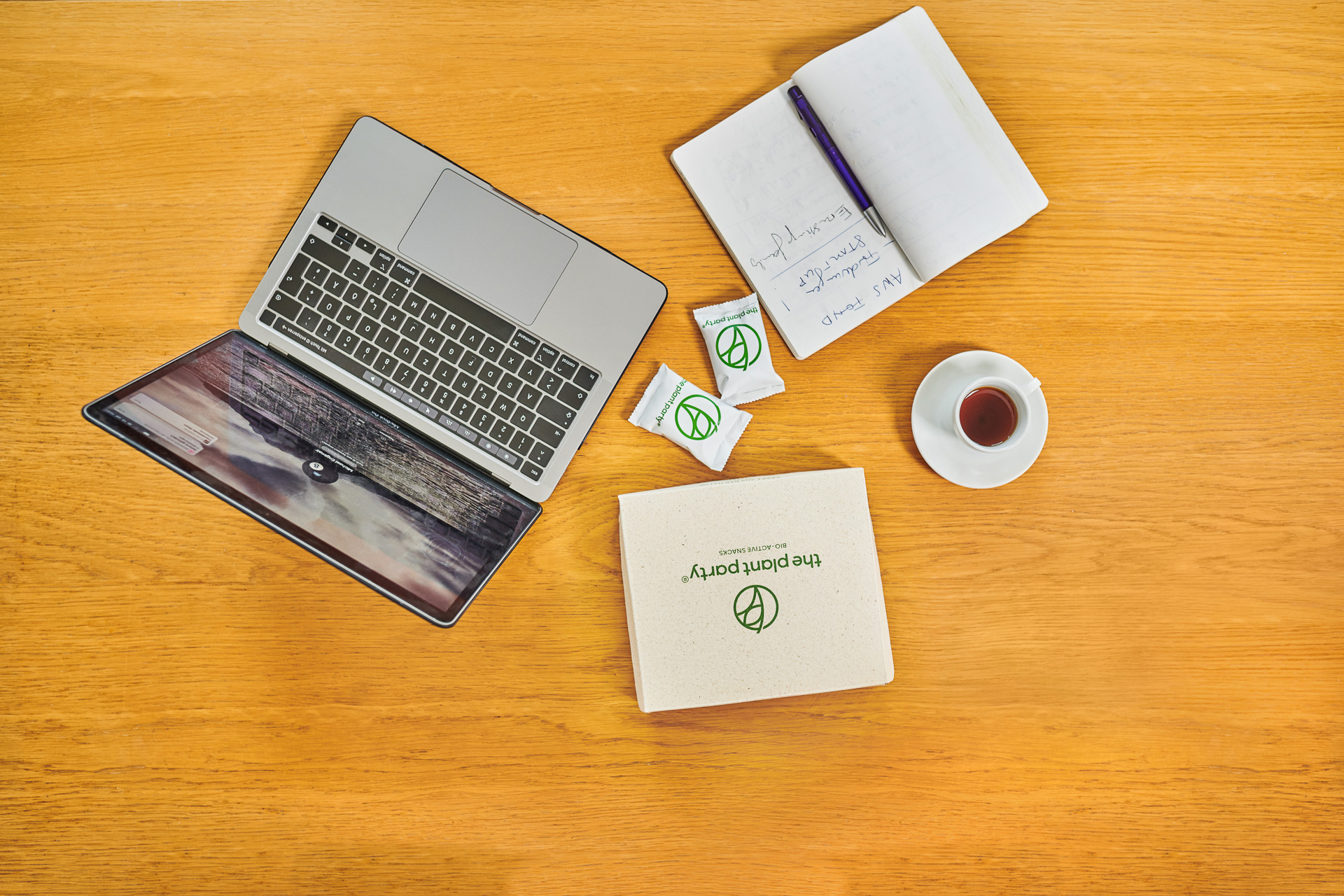 h120-People-Fashion-Fotograf-Fotostudio-PG_Studios_07_13_The_Plant_Party_Modelshooting6034_V01_plantparty