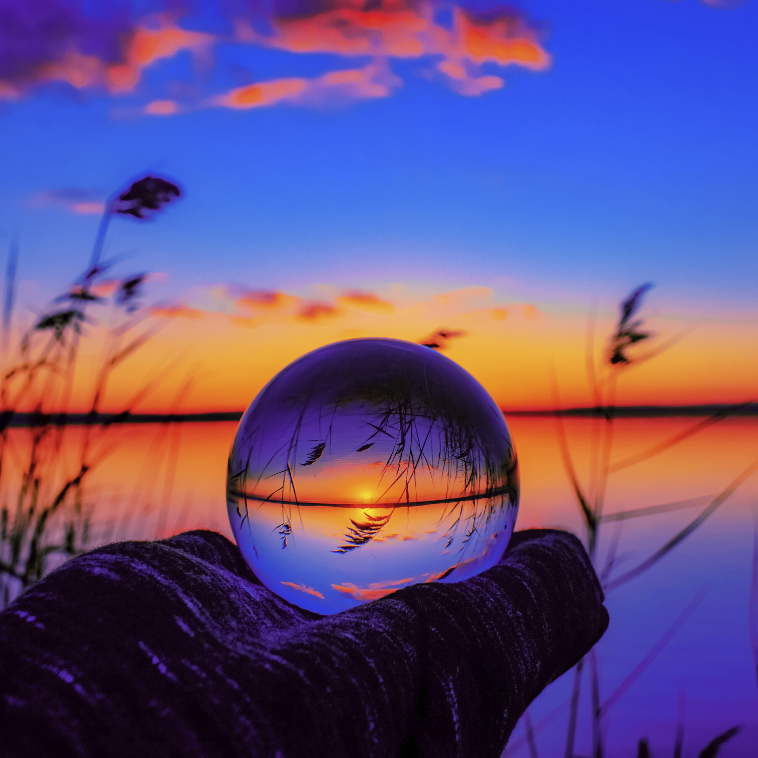 nicole-avagliano-qNM9zdGGPrg-unsplash