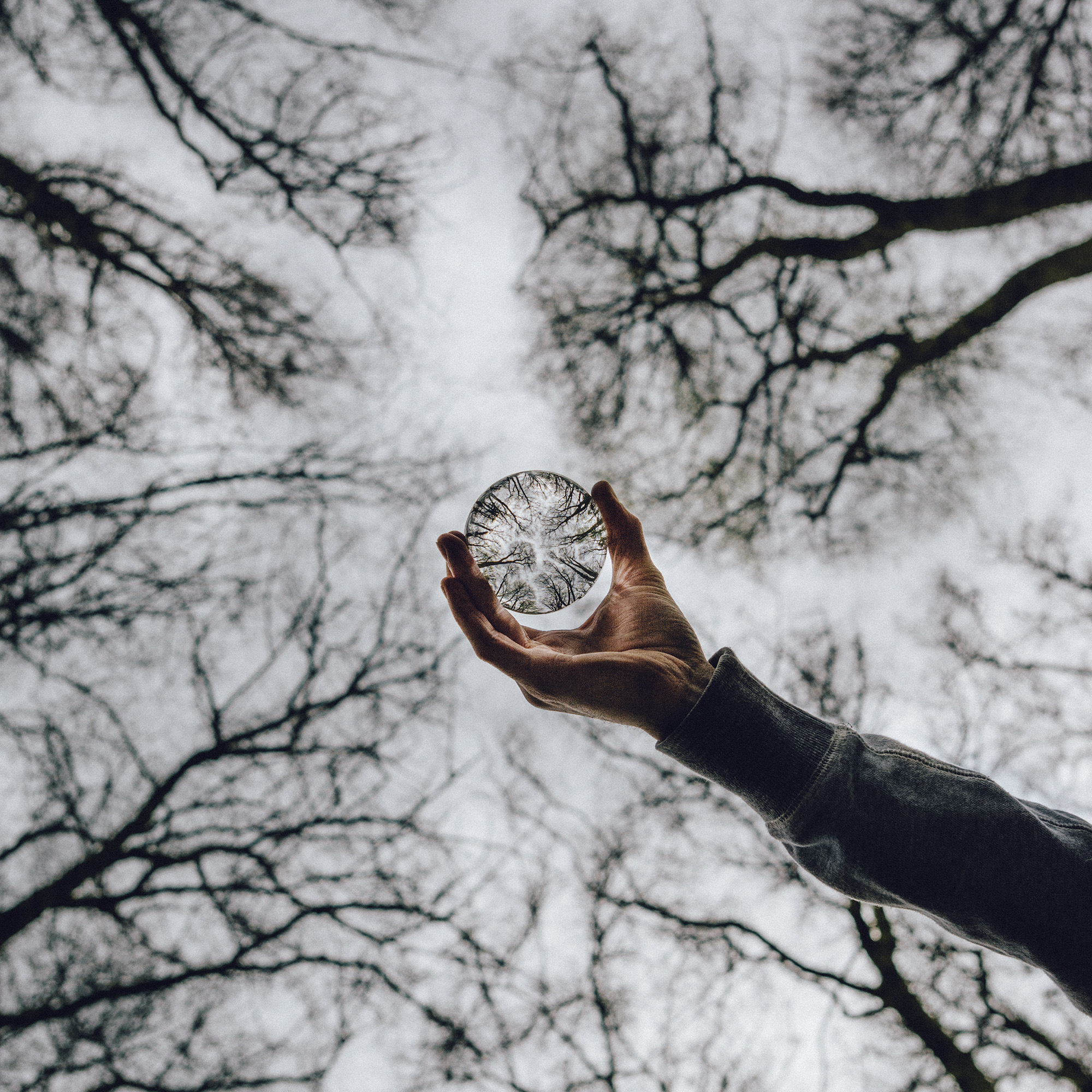 pexels-louis-2083505