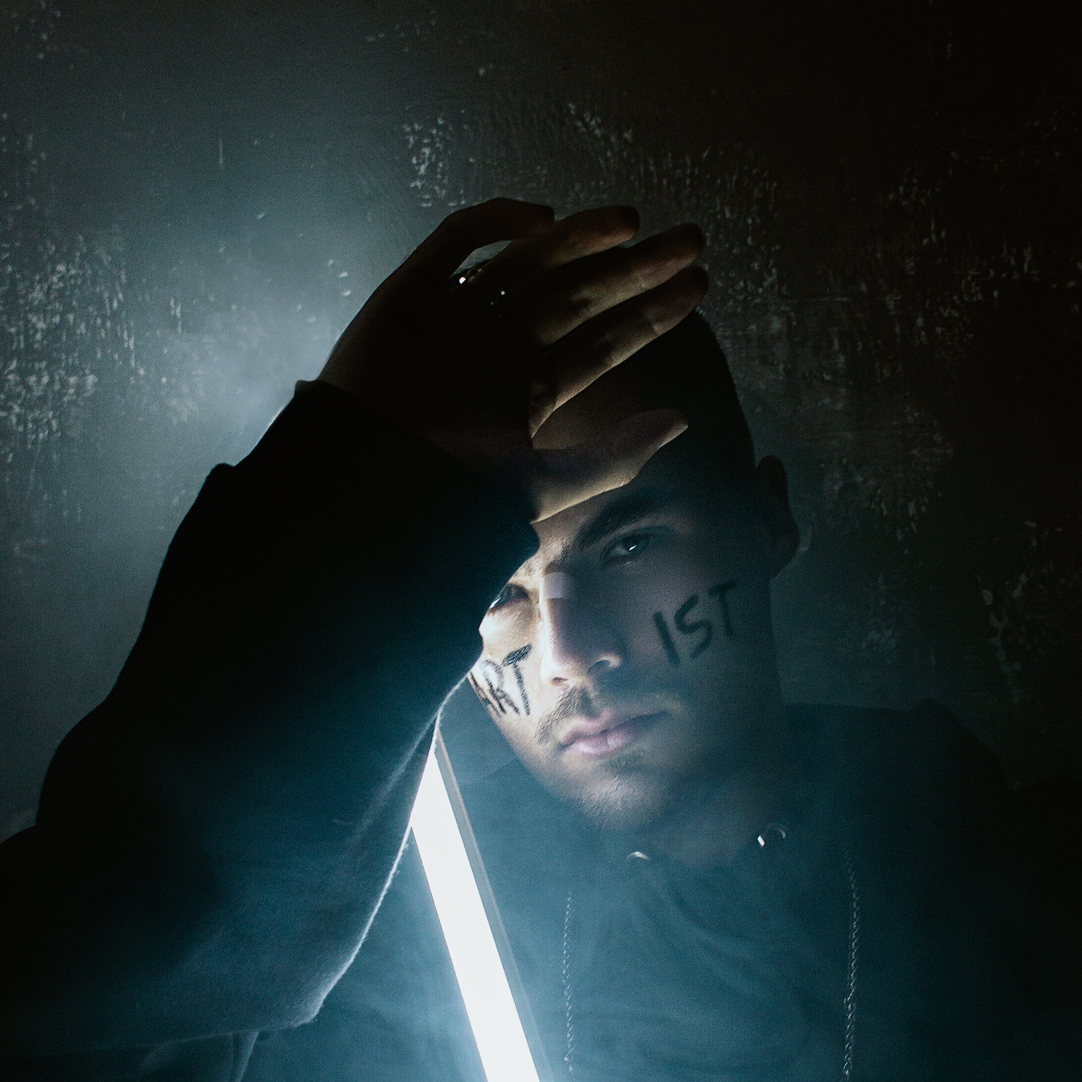 pexels-luidi-cardoso-4221848