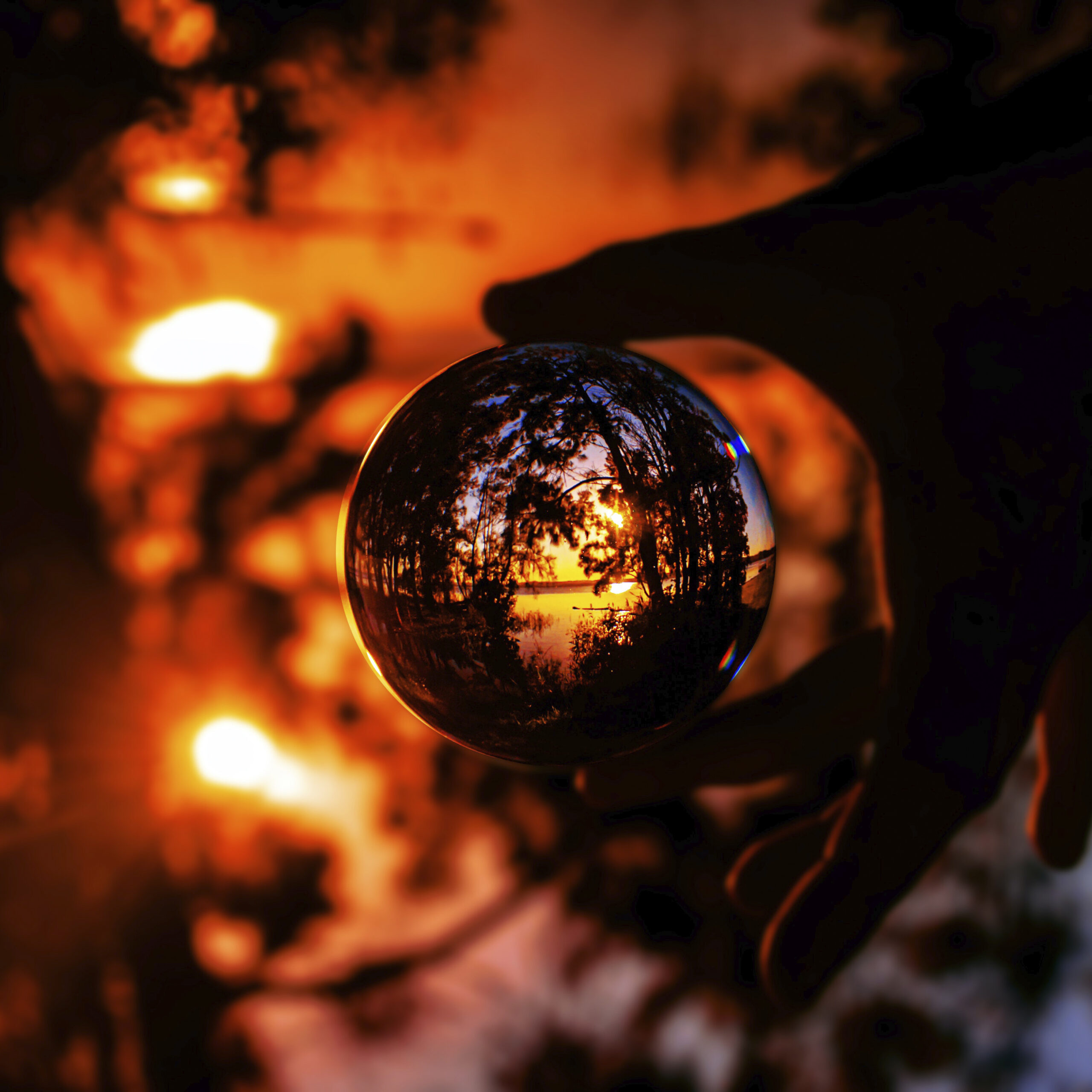 pexels-nicole-avagliano-2893529